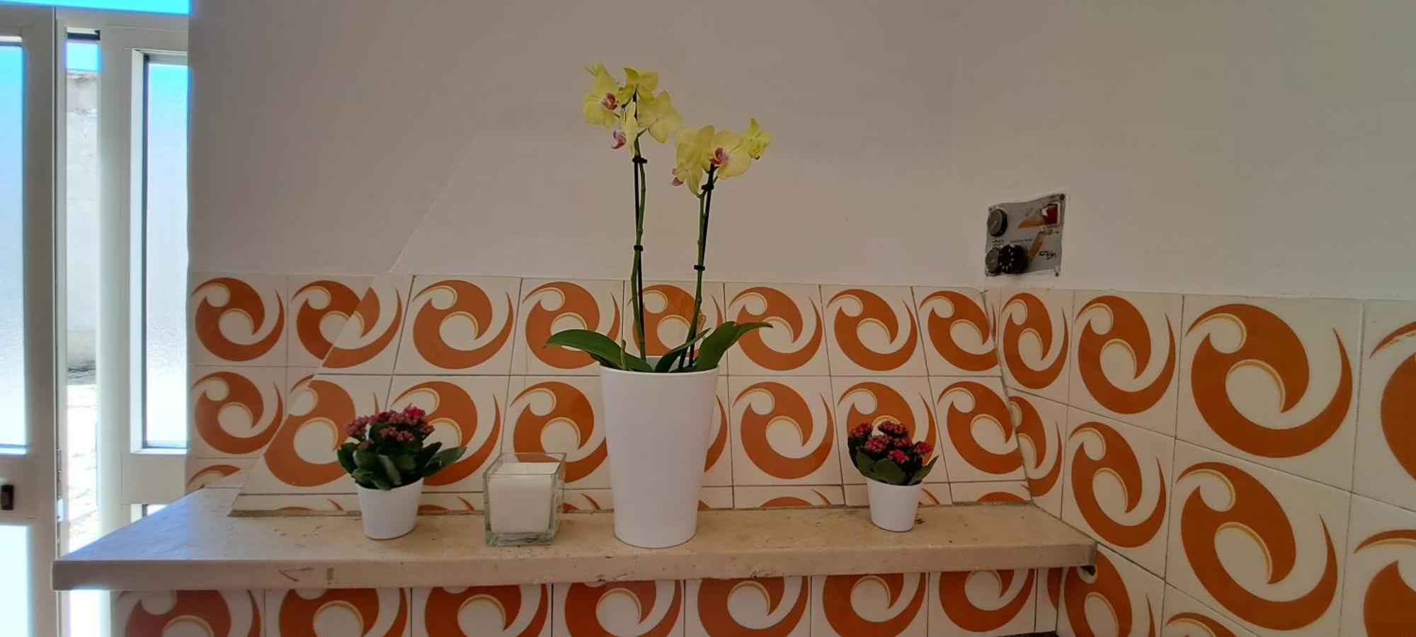 Tollo B & B Le Tre Rose מראה חיצוני תמונה